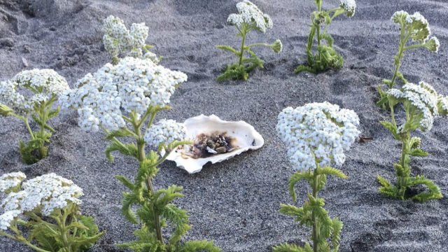 Screenshot-2025-04-10-at-12.02.32 PM-1